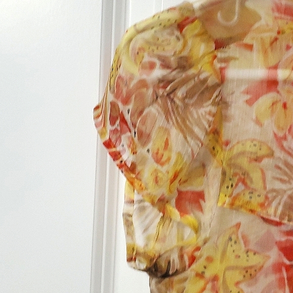 Cleo multicolor short sleeve sheer top - Picture 5 of 6